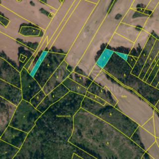 Prodej lesa 5 299 m² Hodov