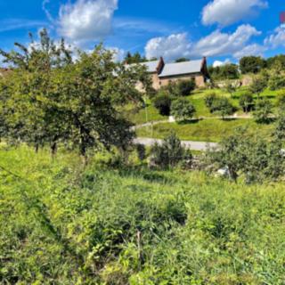 Prodej zahrady 491 m² Petrovice
