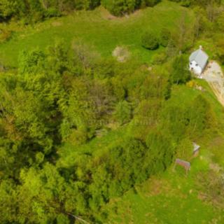 Prodej louky 2 417 m² Javorník Travná