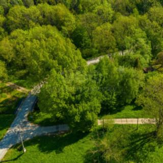 Prodej louky 284 m² Bohušov