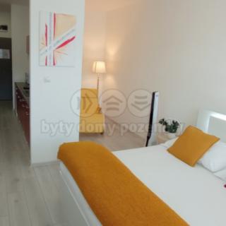 Pronájem bytu 1+kk a garsoniéry 29 m² Frýdek-Místek Frýdek, Růžový pahorek