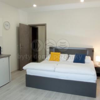 Pronájem bytu 1+kk a garsoniéry 30 m² Frýdek-Místek Frýdek, Růžový pahorek