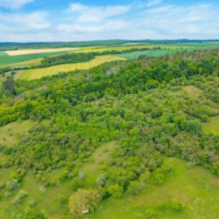 Prodej lesa 2 518 m² Chyňava