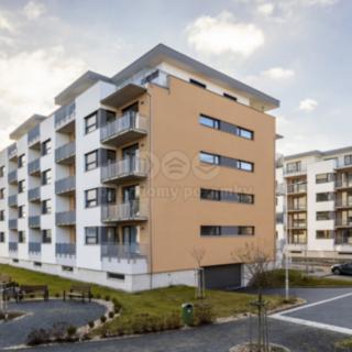 Pronájem bytu 2+kk 57 m² Hradec Králové Nový, Antonína Petrofa