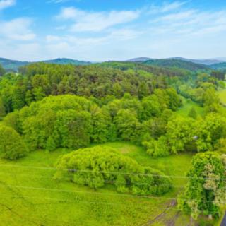 Prodej zahrady 4106 m² Borotice