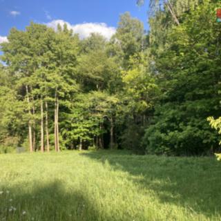 Prodej stavební parcely 743 m² Rychnov u Jablonce nad Nisou