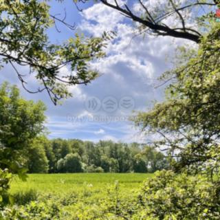 Prodej zemědělské půdy 19 910 m² Měcholupy Želeč