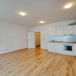 Pronájem bytu 1+kk, garsoniery 40 m² Plzeň