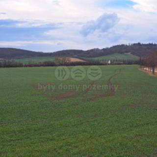 Prodej zemědělské půdy 4 185 m² Kuřim