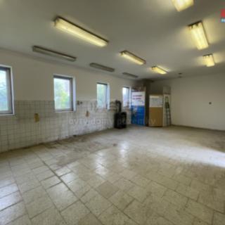 Pronájem výrobního objektu 97 m² Hlučín Darkovičky, Na Záplotí