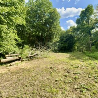 Prodej zahrady 2923 m² Šarovy