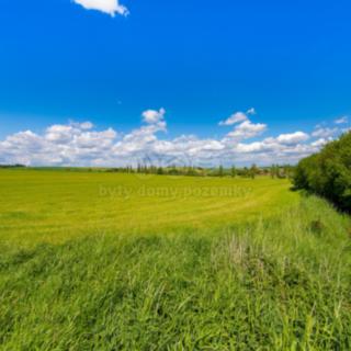 Prodej louky 2373 m² Blížejov
