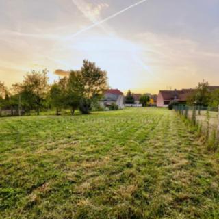 Prodej stavební parcely 1 501 m² Březolupy