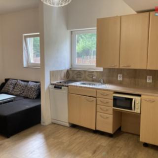 Pronájem bytu 2+kk 45 m² Ves Touškov