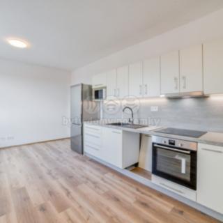 Pronájem bytu 2+kk 47 m² Lázně Kynžvart, Královské svahy