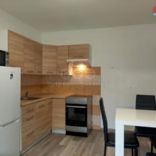 Pronájem bytu 1+1 36 m² Strážný