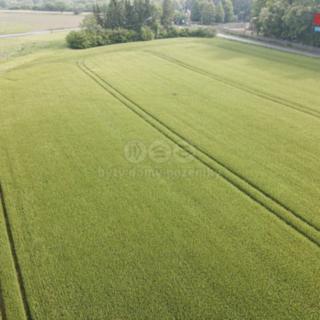 Prodej zemědělské půdy 10 638 m² Opočno