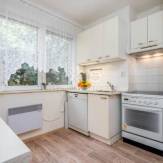 Prodej bytu 3+1 67 m² Milovice Mladá, Spojovací