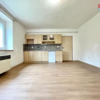Pronájem bytu 1+kk a garsoniéry 25 m² Louny, Palackého
