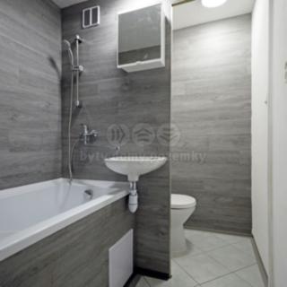 Pronájem bytu 1+1 35 m² Horní Slavkov, U Lesoparku