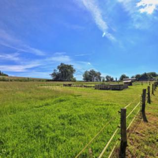 Prodej zahrady 4 173 m² Bedřichov
