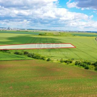 Prodej zemědělské půdy 5 578 m² Dobrovíz