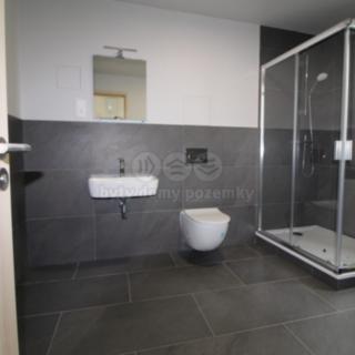Pronájem bytu 2+kk 40 m² Plzeň Jižní Předměstí, Kotkova