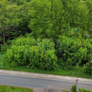 Prodej stavební parcely 2 103 m² Červená Voda