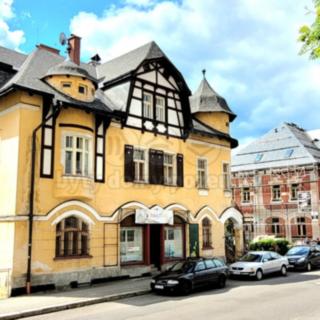 Prodej bytu 1+1 33 m² Josefův Důl