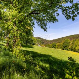 Prodej stavební parcely 1 498 m² Bohostice