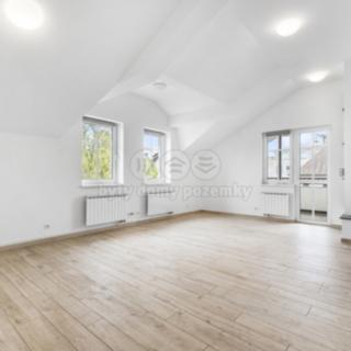 Prodej obchodu 449 m² Ostrava Slezská, Chittussiho
