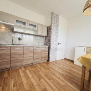 Pronájem bytu 1+1 31 m² Plzeň Bolevec, Kralovická