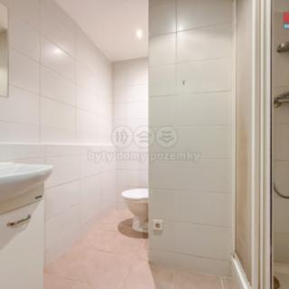Pronájem bytu 1+1 38 m² Ostrava Hrabůvka, U Haldy