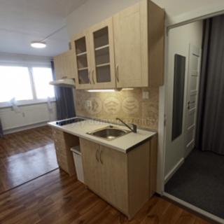 Pronájem bytu 1+kk, garsoniery 28 m² Liberec