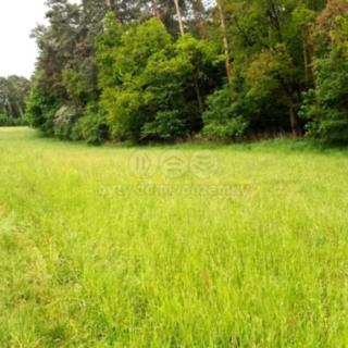Prodej stavební parcely 10 664 m² Vlašim