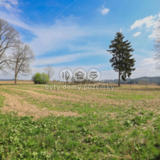 Prodej zemědělské usedlosti 3252 m² Bezvěrov