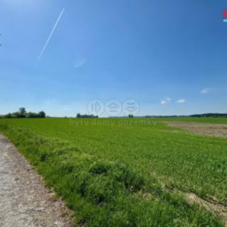 Prodej zemědělské půdy 73439 m² Onomyšl