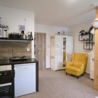 Prodej bytu 1+kk a garsoniéry 23 m² Jeseník, Zeyerova