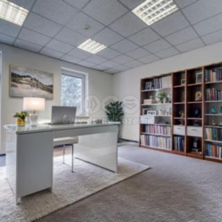 Pronájem kanceláře 94 m² Plzeň Východní Předměstí, Slovanská