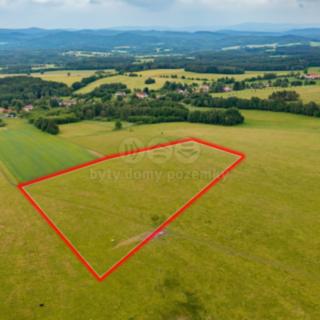 Prodej zemědělské půdy 34 822 m² Kamenná Kondrač