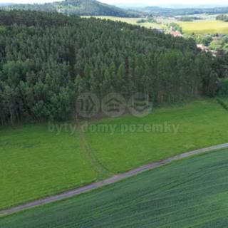 Prodej lesa 3 372 m² Chotilsko Prostřední Lhota