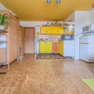 Prodej bytu 1+kk a garsoniéry 25 m² Liblice