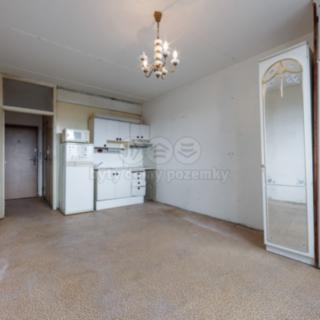 Prodej bytu 1+kk a garsoniéry 22 m² Cheb, Přátelství