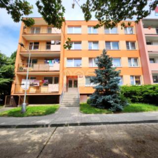 Prodej bytu 2+kk 45 m² Louny, Šafaříkova