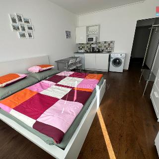 Pronájem bytu 1+kk a garsoniéry 25 m² Praha, Krakovská