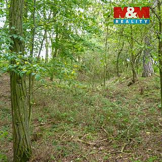 Prodej lesa 675 m² Dolní Habartice