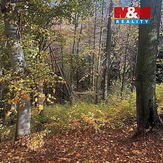 Prodej lesa 562 m² Řepníky