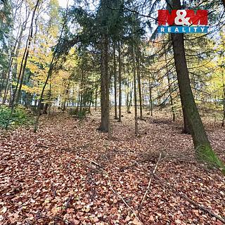 Prodej lesa 6855 m² Jestřebí