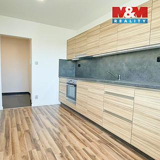 Pronájem bytu 1+1 38 m² Ostrava