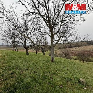 Prodej zahrady 901 m² Bezuchov